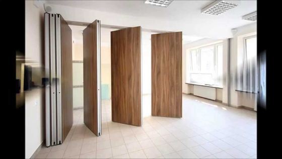 AE Barato all'ingrosso Decorativo Piegamento liscio divisorio scorrevole Pareti divisorie insonorizzate mobili